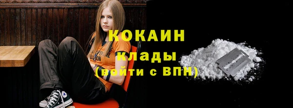 сатива Чердынь